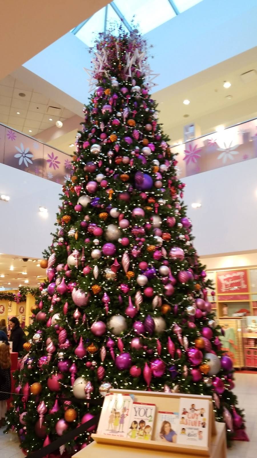 American Girl Dallas | restaurant | 13464 Dallas Pkwy, Dallas, TX 75240, USA | 8772475223 OR +1 877-247-5223