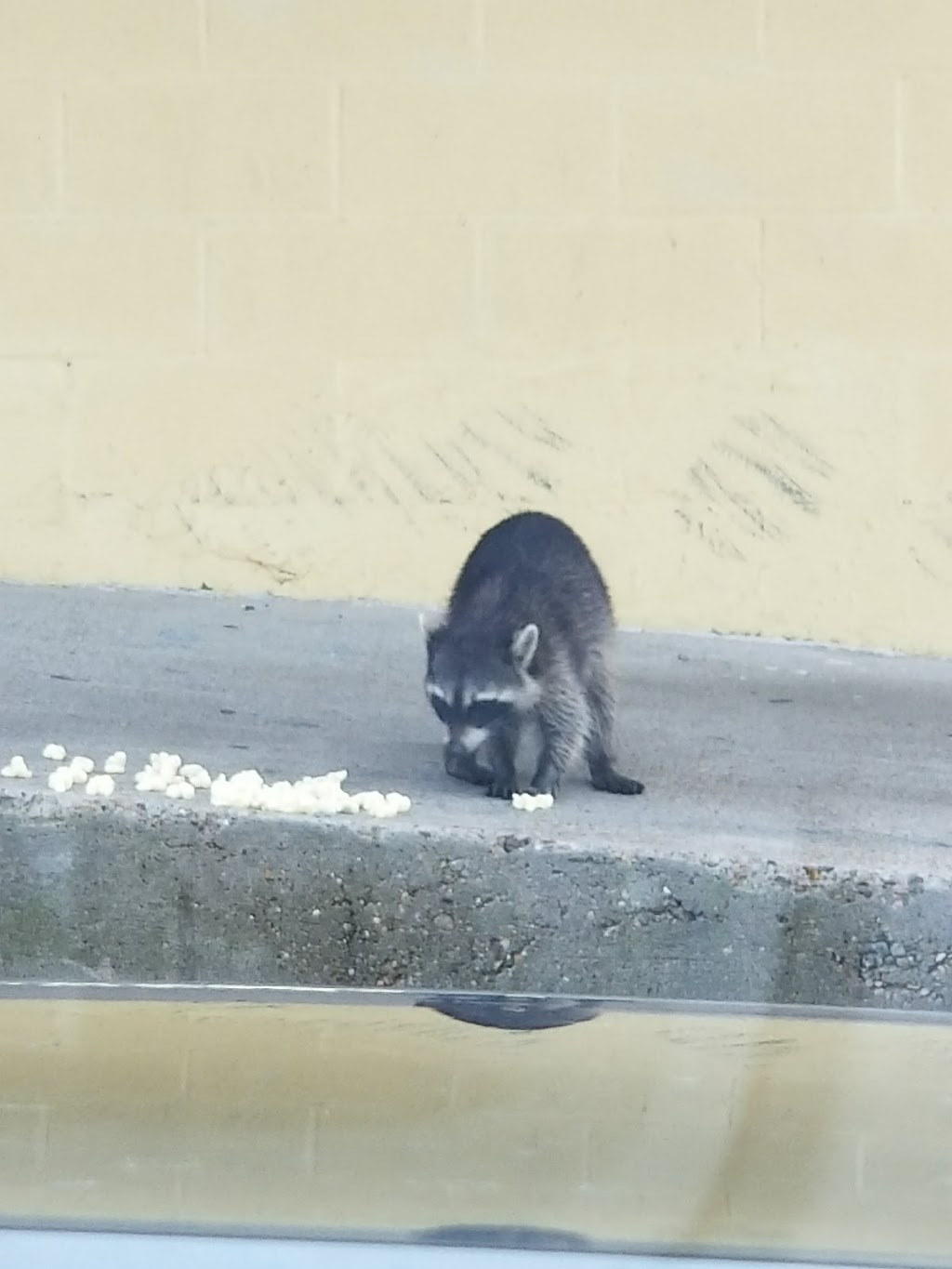 Fishermans Cove Food Mart & Hunt Brothers Pizza | meal takeaway | 706 TX-87, Port Bolivar, TX 77650, USA | 4096848567 OR +1 409-684-8567