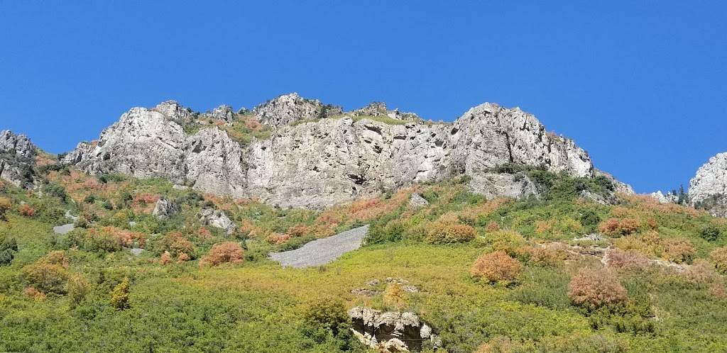 The Oaks Restaurant | restaurant | 750 Ogden Canyon, Ogden, UT 84401, USA | 3853334748 OR +1 385-333-4748