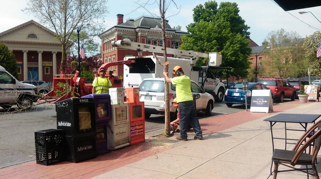 Starbucks | cafe | 211 Main St, Northampton, MA 01060, USA | 4135820041 OR +1 413-582-0041