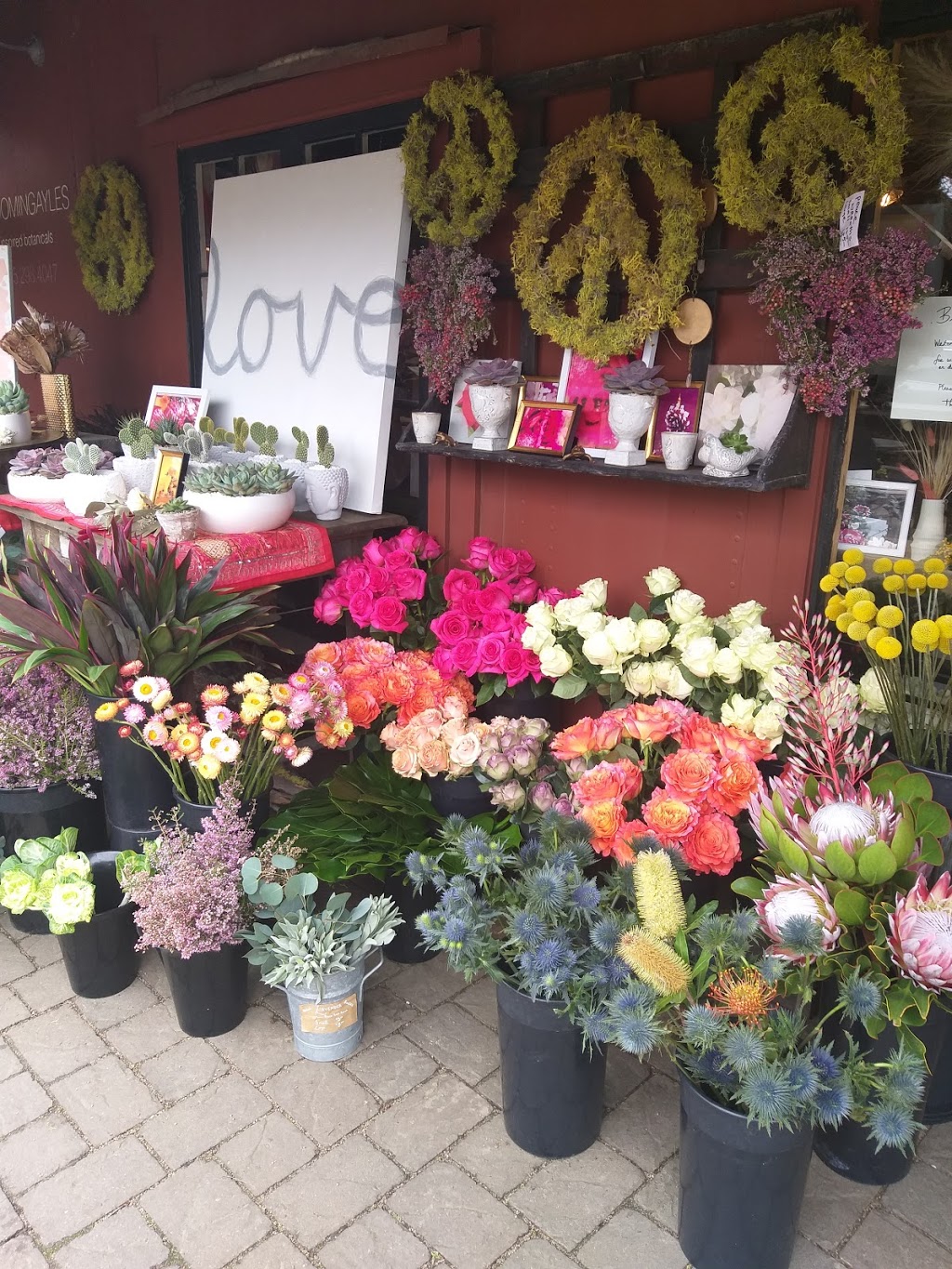 Mill Valley Lumber Yard | shopping mall | 129 Miller Ave, Mill Valley, CA 94941, USA | 4159570463 OR +1 415-957-0463