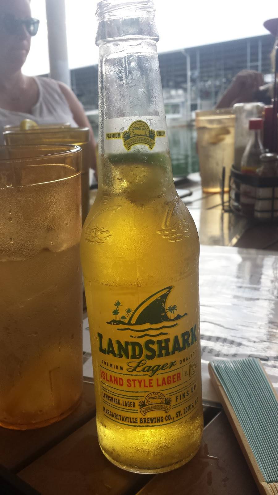 Ricks Dockside Grill | restaurant | 1000 Marina Harbor Dr, Maryville, TN 37801, USA | 8658568440 OR +1 865-856-8440