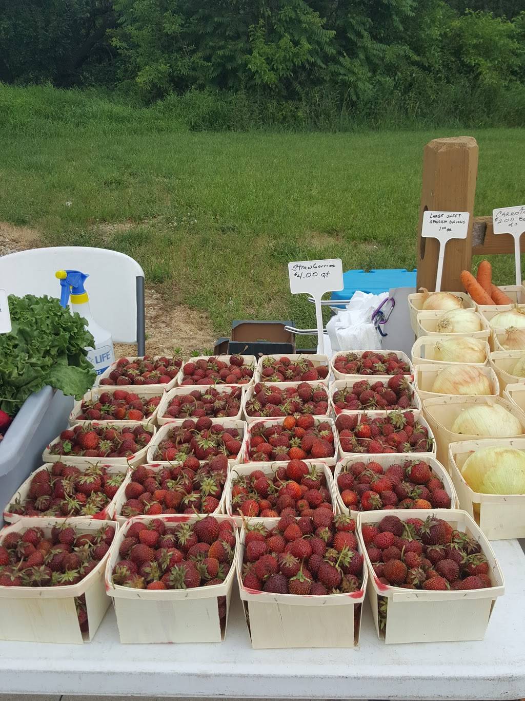 Top O-The Hill Restaurant | restaurant | 5140 Michigan Ave, Tipton, MI 49287, USA | 5174567220 OR +1 517-456-7220