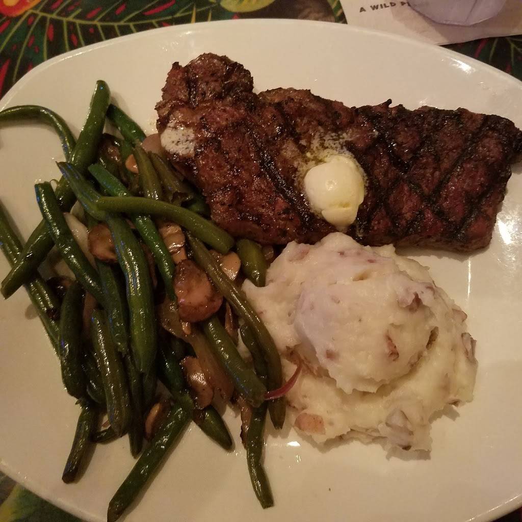 Rainforest Cafe Shop-Animal Kingdom | restaurant | Walt Disney World Resort, Kissimmee, FL 34747, USA | 4079389100 OR +1 407-938-9100