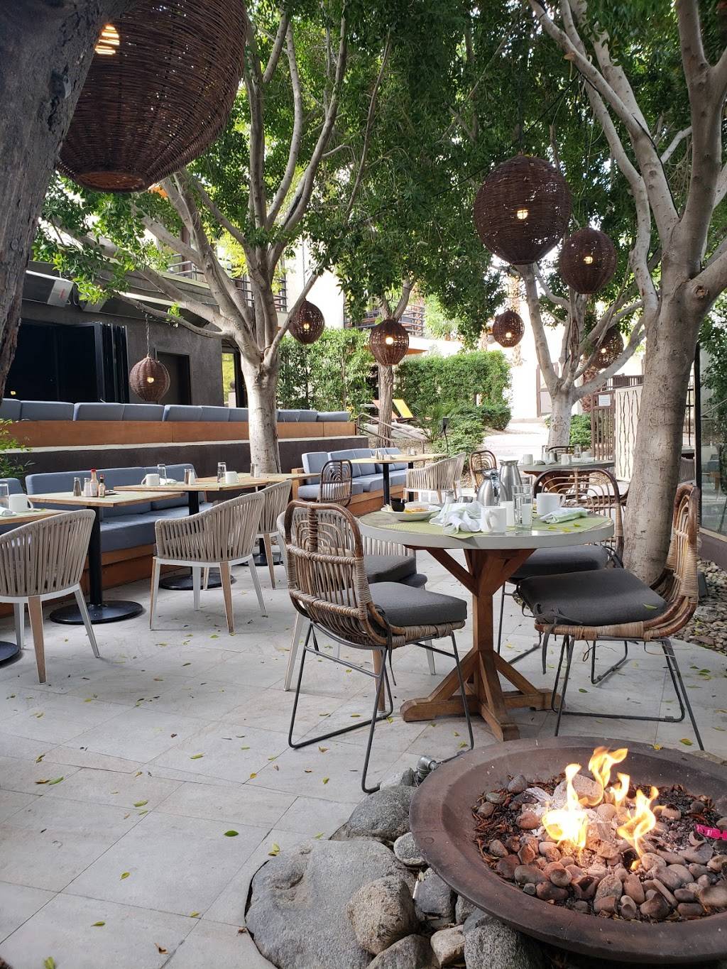 Cafe Palmetto | restaurant | 1600 N Indian Canyon Dr Ste D, Palm Springs, CA 92262, USA | 7607786659 OR +1 760-778-6659