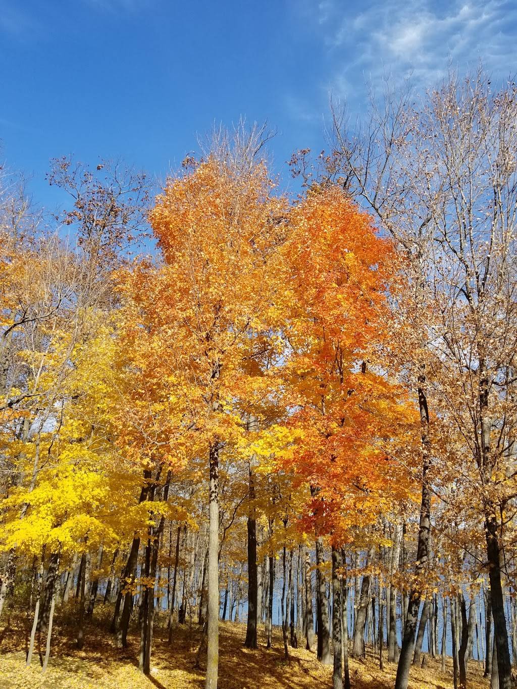 Cuyuna Rolling Hills | restaurant | Deerwood, MN 56444, USA | 2185343489 OR +1 218-534-3489