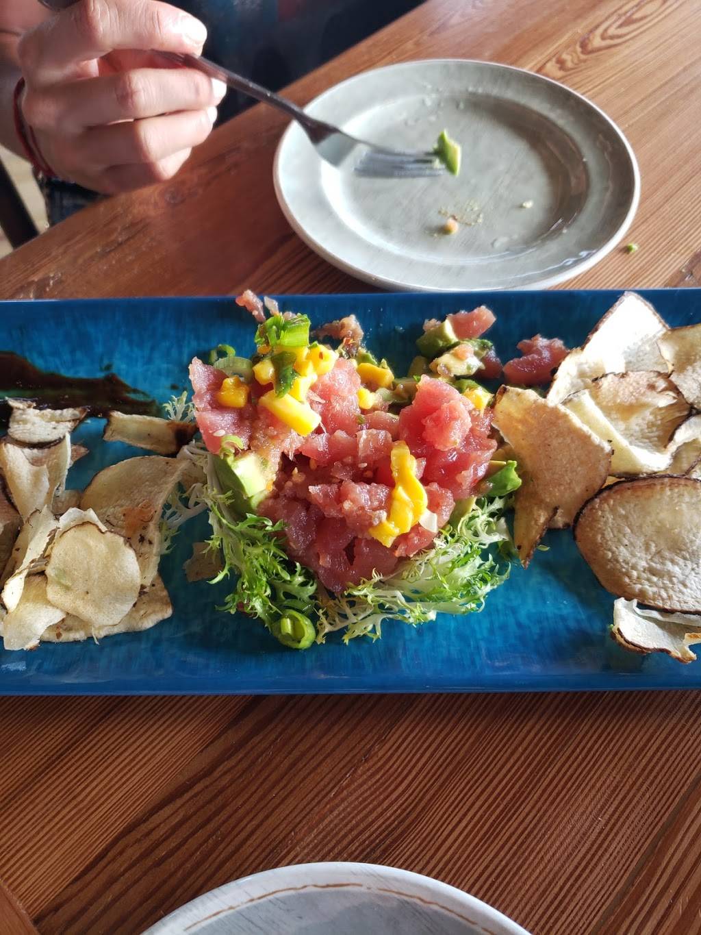 Salt Shack On The Bay | restaurant | 5415 W Tyson Ave, Tampa, FL 33611, USA | 8134444569 OR +1 813-444-4569