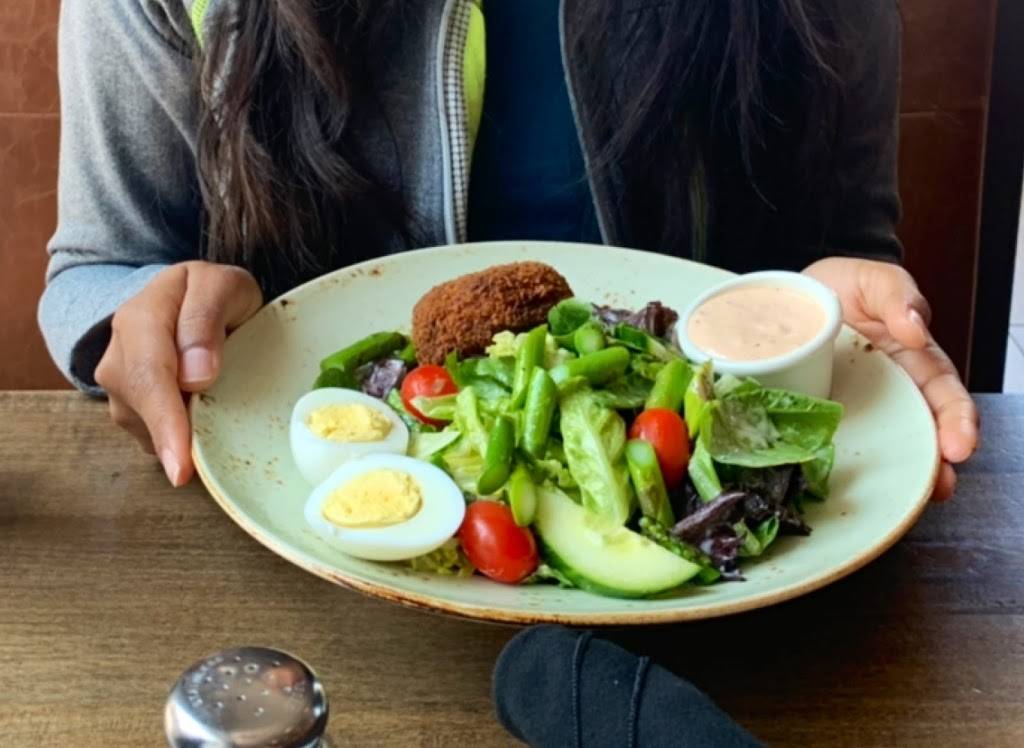 Fionn MacCools | restaurant | 2180 Islington Ave, Etobicoke, ON M9P 3P2, Canada | 6474171109 OR +1 647-417-1109