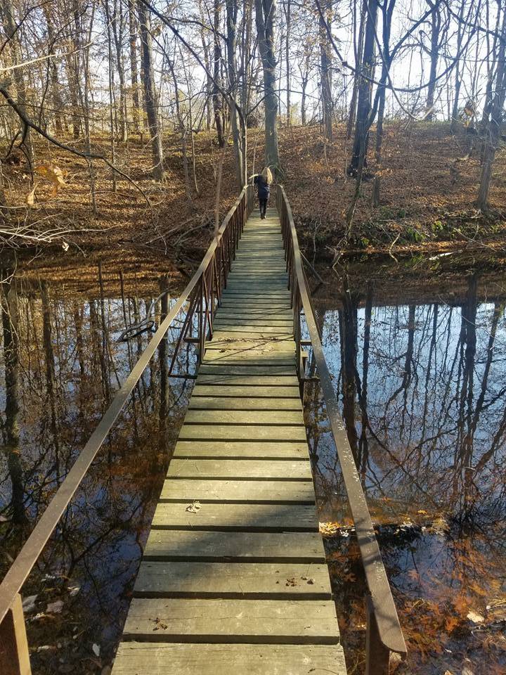 Mount Vernon Conservation Club | restaurant | 901 Springfield Rd, Mt Vernon, IN 47620, USA | 8124319024 OR +1 812-431-9024