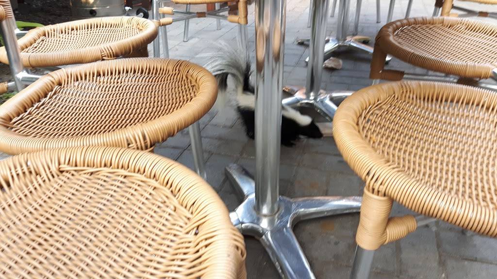 Rivera Pizza Buckingham | restaurant | 937 Rue Georges, Gatineau, QC J8L 2E4, Canada | 8192818989 OR +1 819-281-8989