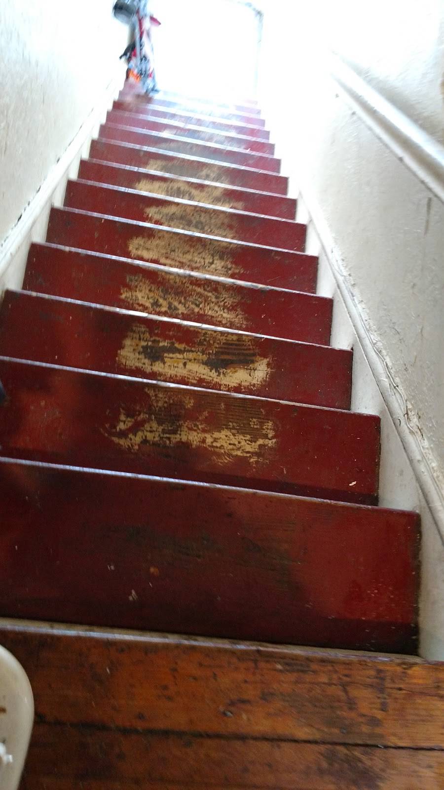 Lucky Garden | restaurant | 2460 Nostrand Ave, Brooklyn, NY 11210, USA | 7183381666 OR +1 718-338-1666