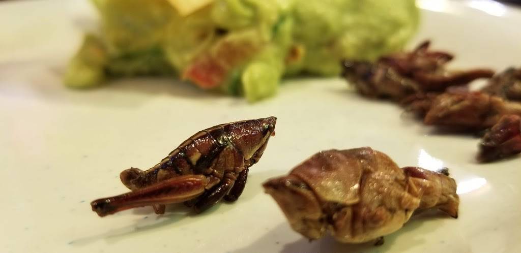 Aqui es Texcoco | restaurant | 2673 Mt Vernon Ave, Bakersfield, CA 93306, USA | 6617421877 OR +1 661-742-1877