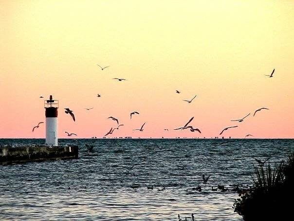 Fishermans Catch Bar & Restaurant | restaurant | 18 Walker St, Port Dover, ON N0A 1N0, Canada | 5195831801 OR +1 519-583-1801