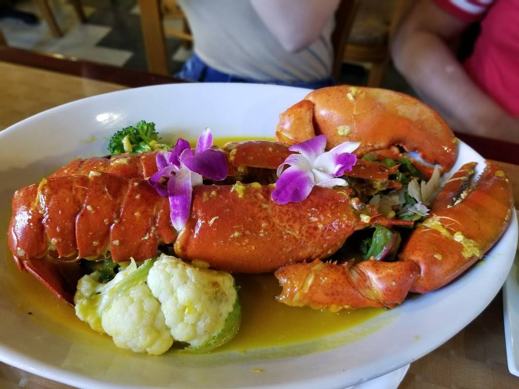 Mar & Tierra Restaurant | restaurant | 760 Hanover Ave, Allentown, PA 18109, USA | 4842218022 OR +1 484-221-8022