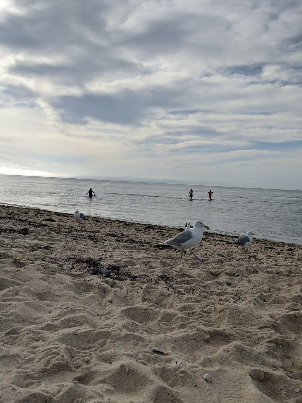 Sandbar at Jetties Beach Bar & Restaurant | restaurant | 4 Bathing Beach Rd #2234, Nantucket, MA 02554, USA | 5082282279 OR +1 508-228-2279
