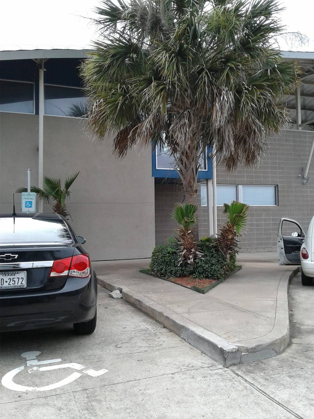 Garden Kitchen | restaurant | 10480 S Main St, Houston, TX 77025, USA | 8323507534 OR +1 832-350-7534