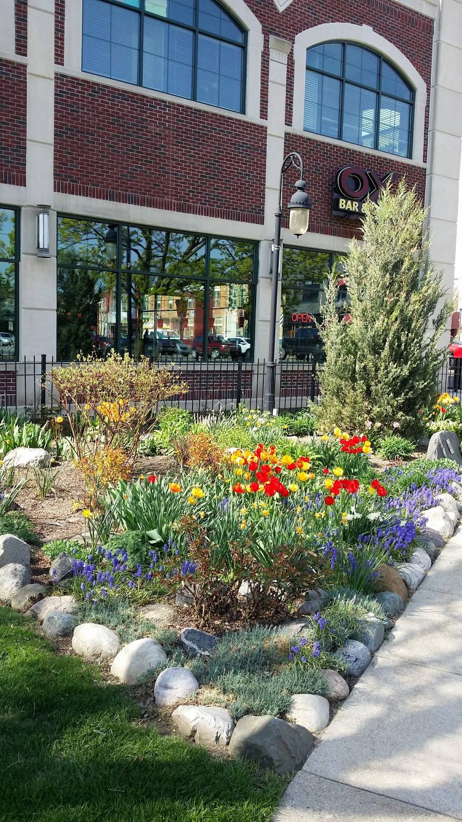 The OX Bar & Grill | restaurant | 23 S Washington St, Oxford, MI 48371, USA | 2486281400 OR +1 248-628-1400