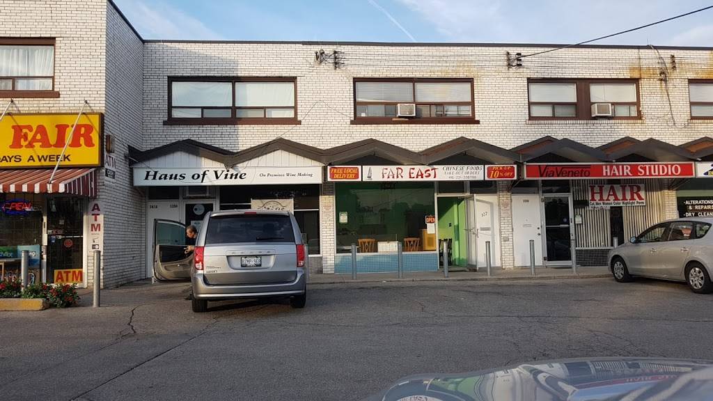 Far East Chinese Food | meal takeaway | 137 Martin Grove Rd, Etobicoke, ON M9B 4K8, Canada | 4162313387 OR +1 416-231-3387