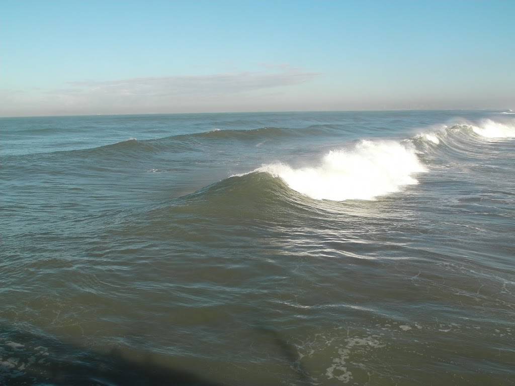 El Norte Pkwy Plaza | shopping mall | 964-1042 W El Norte Pkwy, Escondido, CA 92026, USA | 8588474600 OR +1 858-847-4600