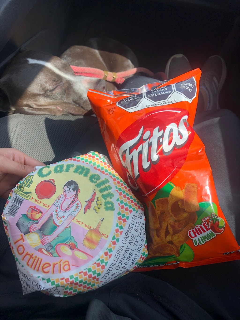 Tortilleria Carmelita | restaurant | 103 N Linda St, Alton, TX 78573, USA | 9565853540 OR +1 956-585-3540