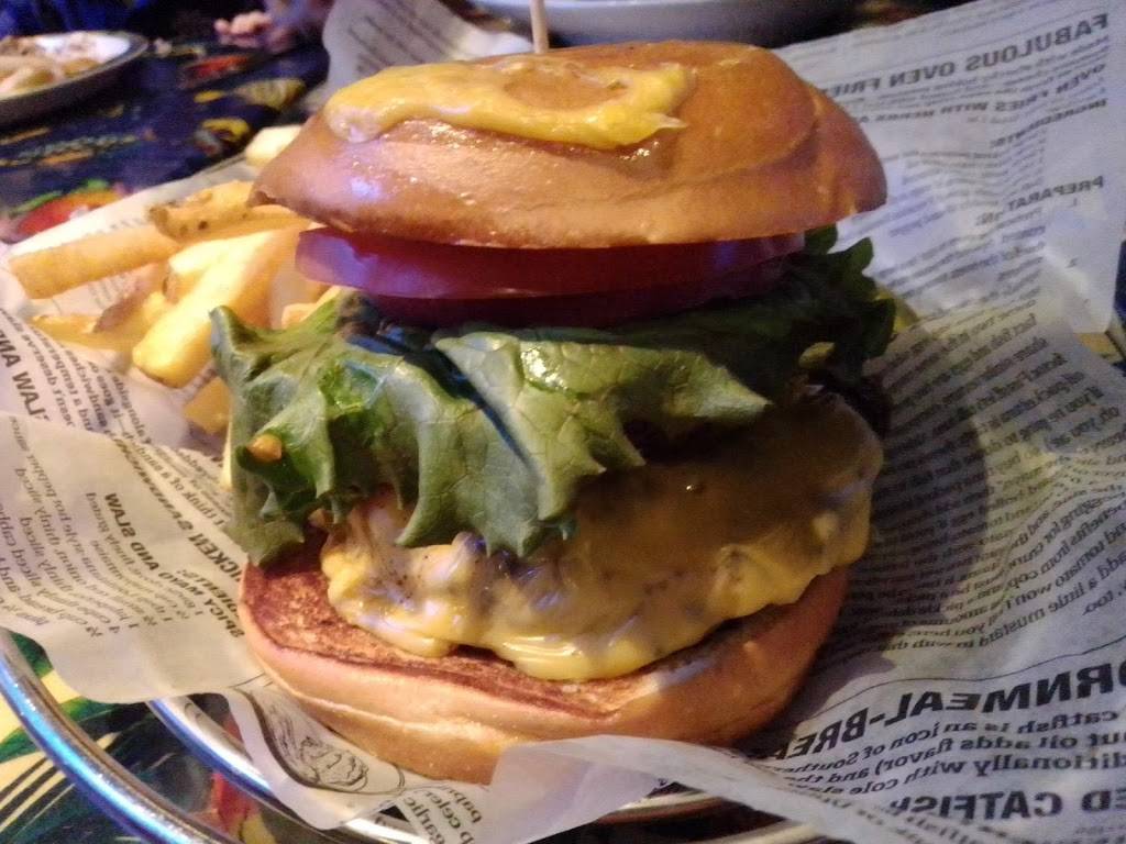 Rainforest Cafe | restaurant | 12801 W Sunrise Blvd, Sunrise, FL 33323, USA | 9548511015 OR +1 954-851-1015