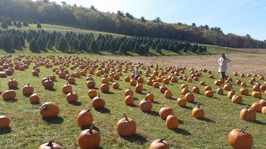 Pigout Roasting | restaurant | 1155 Strohls Valley Rd, Lehighton, PA 18235, USA | 6106816738 OR +1 610-681-6738