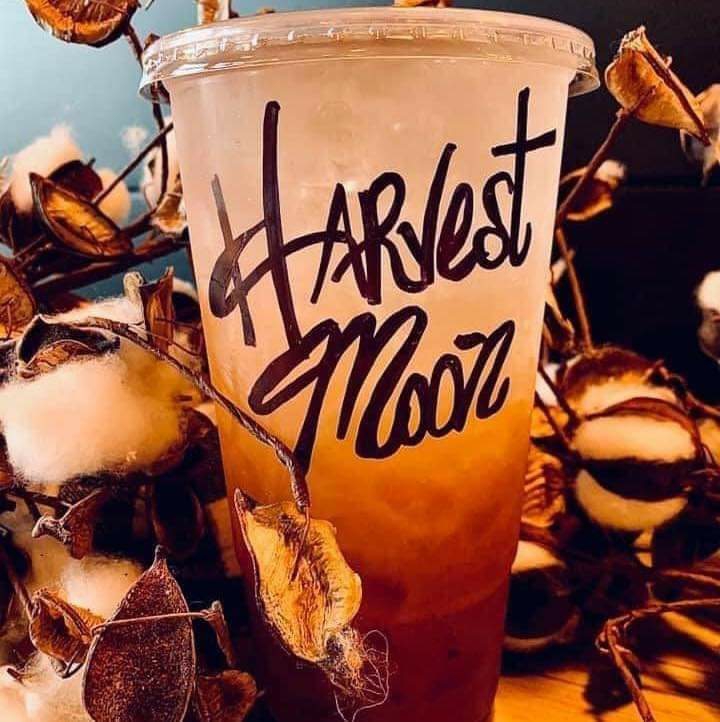 Wildcats Nutrition | restaurant | 14358 Old Hwy 59N, Splendora, TX 77372, USA | 8325993066 OR +1 832-599-3066