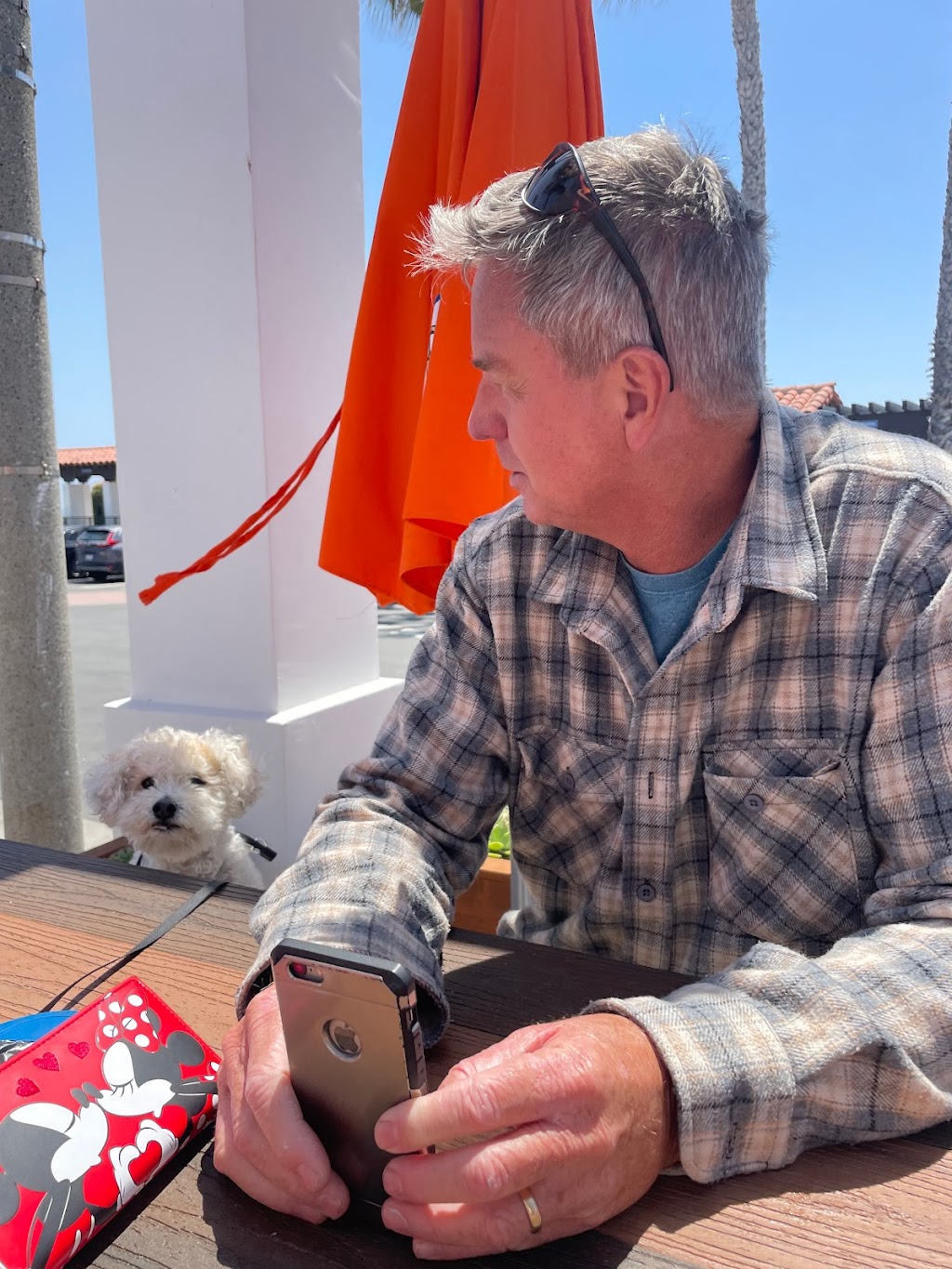 Beach Hut Deli | restaurant | 1844 N El Camino Real, San Clemente, CA 92672, USA | 9493122257 OR +1 949-312-2257