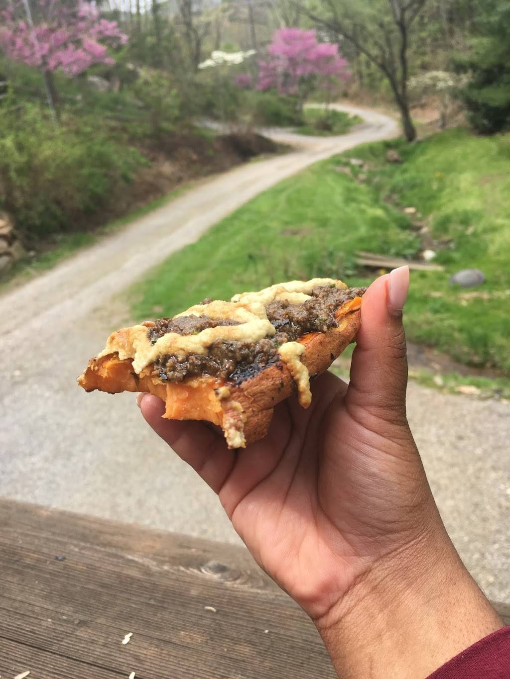 Karma Café | restaurant | 8 Brookdale Rd, Asheville, NC 28804, USA | 8282301668 OR +1 828-230-1668