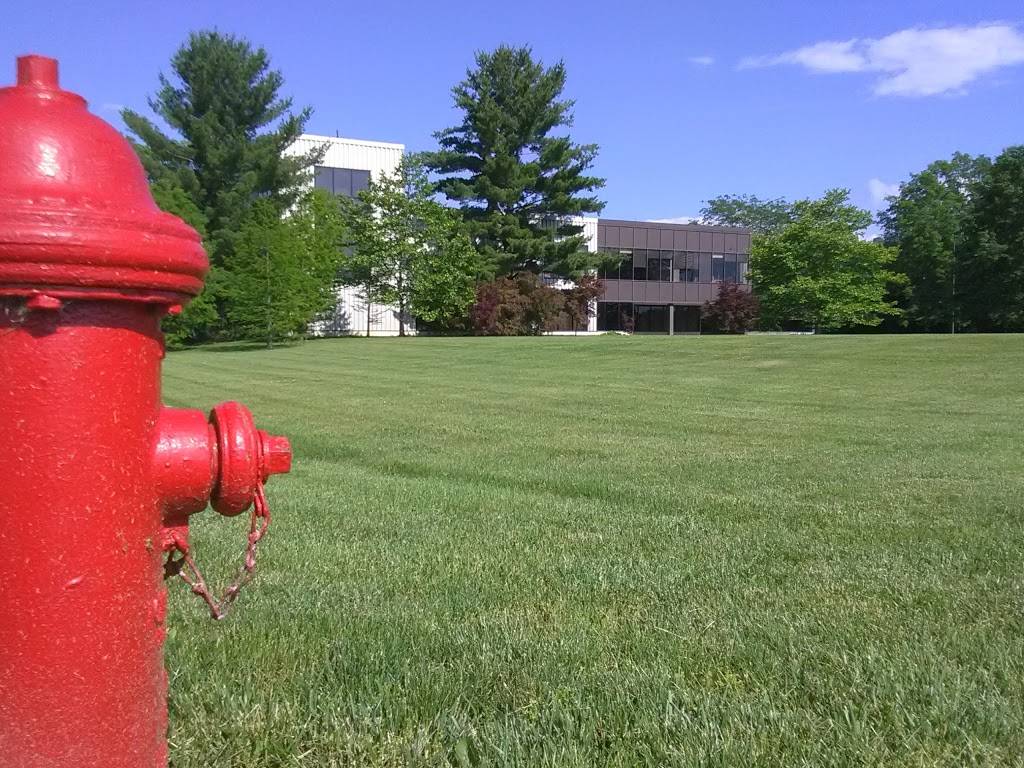 Mega Bites Cafe | restaurant | 27811 OH-7, Marietta, OH 45750, USA | 7403736713 OR +1 740-373-6713