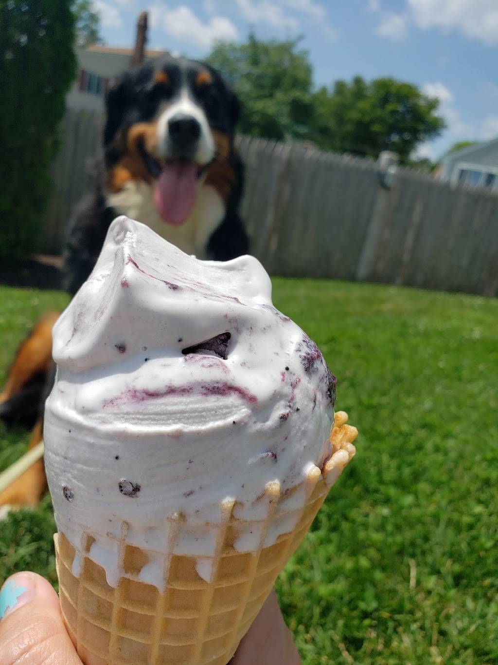 Dunnes Ice Cream | restaurant | 214 Nubble Rd, York, ME 03909, USA | 2073631277 OR +1 207-363-1277