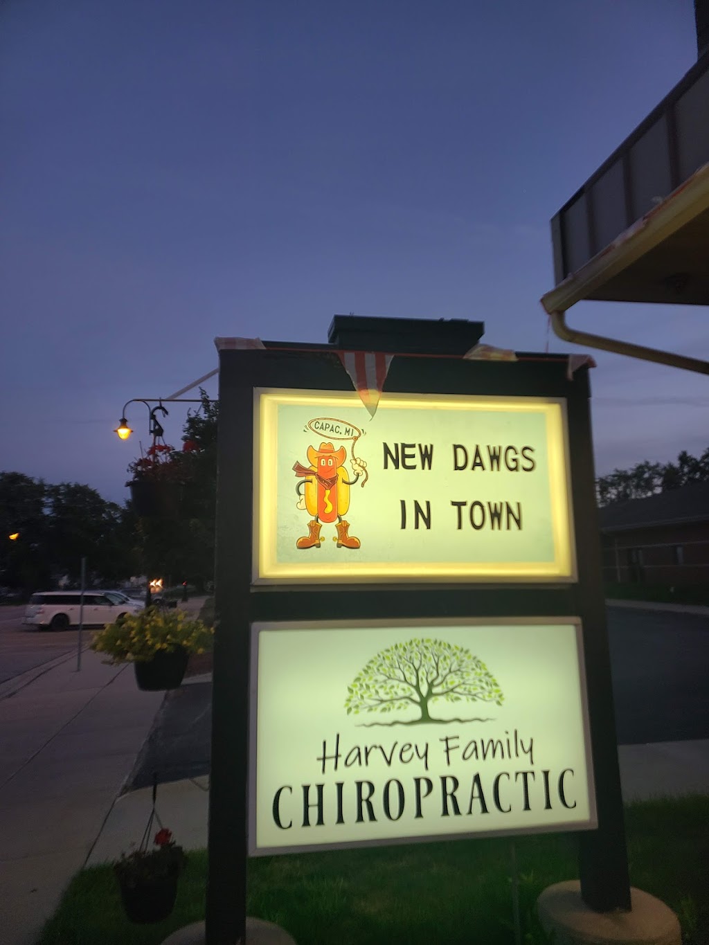 New Dawgs In Town | restaurant | 113 S Main St, Capac, MI 48014, USA | 8106693020 OR +1 810-669-3020