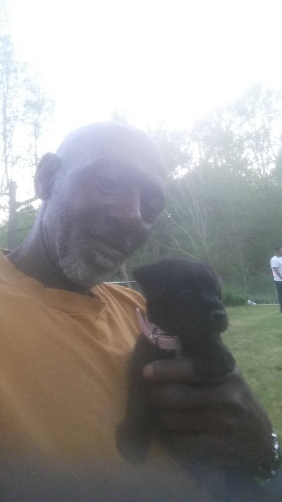 Shakeys Steakery | restaurant | 1675 Nansemond Pkwy, Suffolk, VA 23434, USA | 7579230000 OR +1 757-923-0000