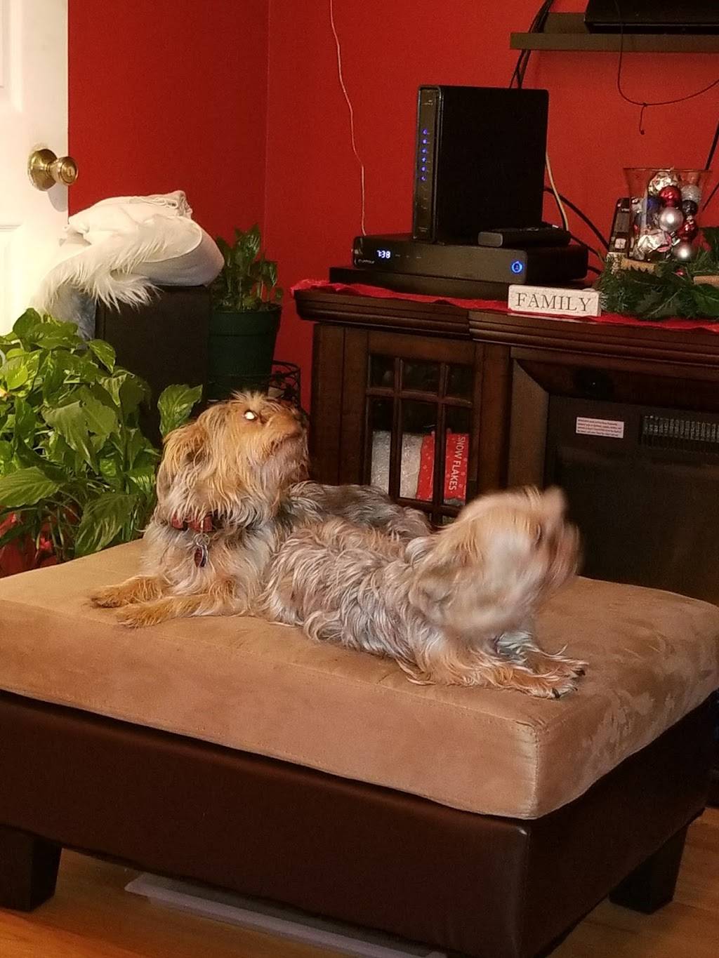 El Sol de Mexico | restaurant | 306 E Main St, Meriden, CT 06450, USA | 2032352212 OR +1 203-235-2212