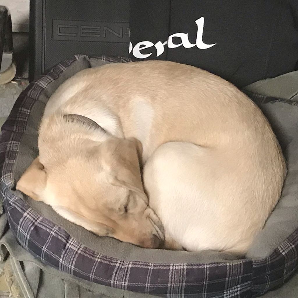 Sanibel Market | restaurant | 328 Town St, East Haddam, CT 06423, USA | 8608739083 OR +1 860-873-9083