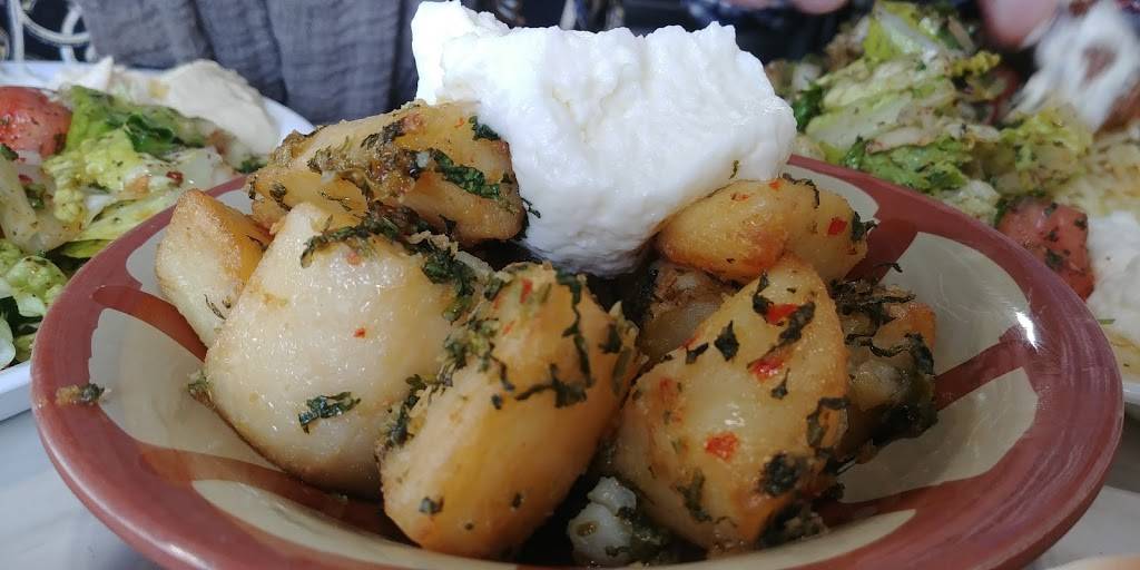 Aleppo Restaurant | restaurant | 666 Wonderland Rd, London, ON N6H 4K9, Canada | 5196016500 OR +1 519-601-6500