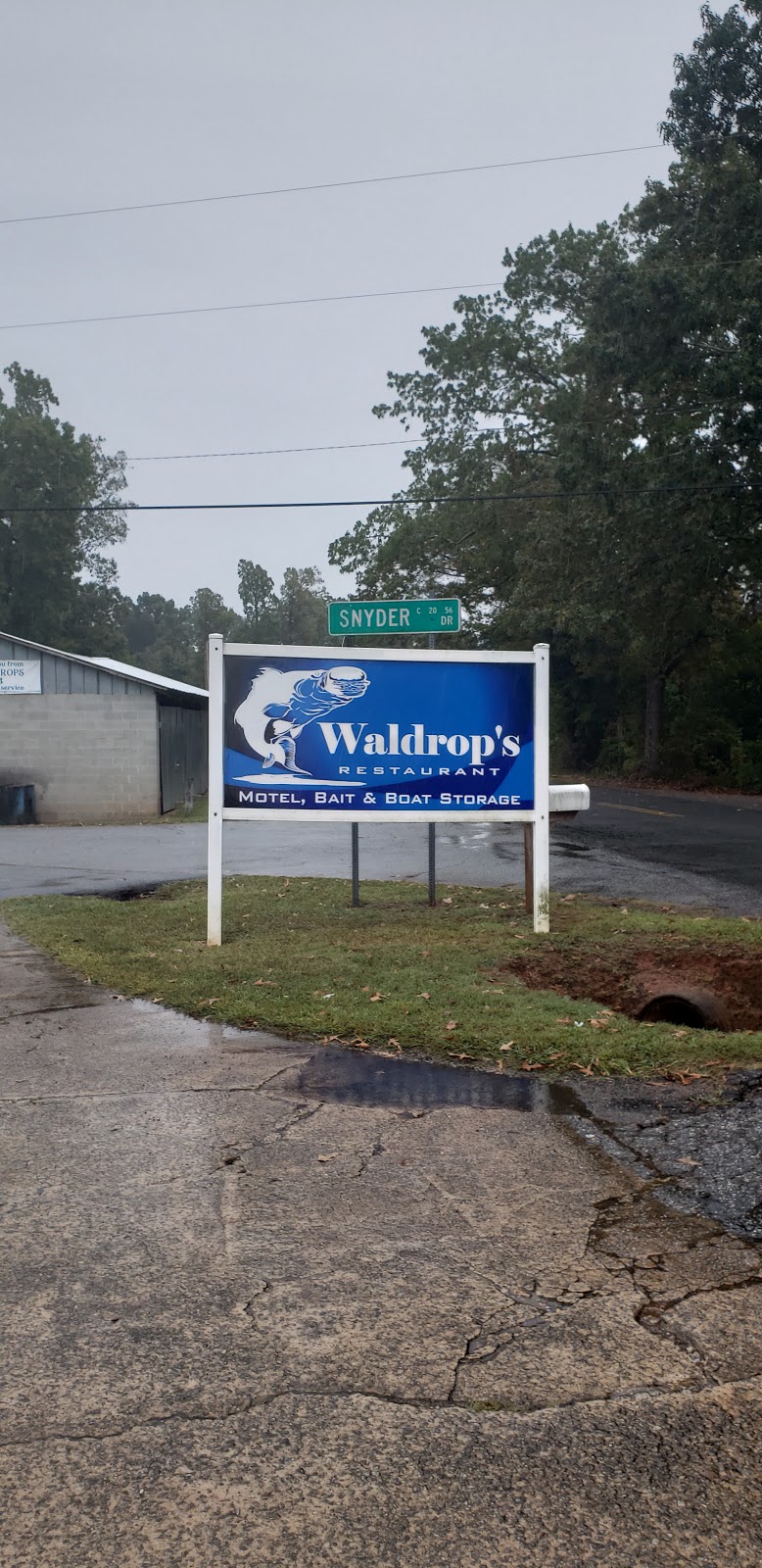 Waldrops Restaurant | restaurant | 1206 Andersonville Rd, Townville, SC 29689, USA | 8642873958 OR +1 864-287-3958