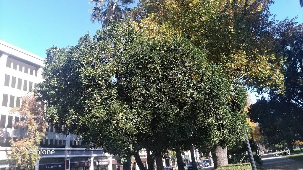 Starbucks | cafe | 1003 L St, Sacramento, CA 95814, USA | 9169300140 OR +1 916-930-0140