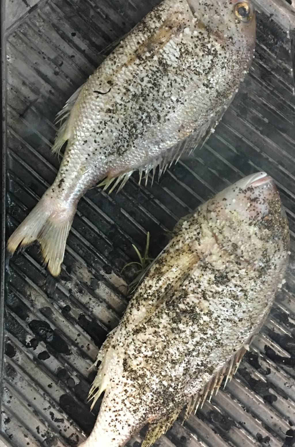 Beccofino Italian Bistro | restaurant | 5712 S MacDill Ave, Tampa, FL 33611, USA | 8138980804 OR +1 813-898-0804