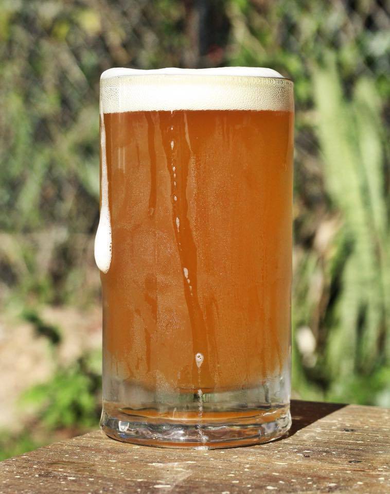 Bog Brewing Company | restaurant | 218 W King St, St. Augustine, FL 32084, USA | 9046793146 OR +1 904-679-3146