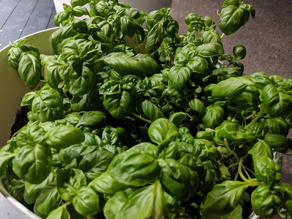 Matto | restaurant | 850 Avenue Myrand, Québec, QC G1V 2V8, Canada | 4185279444 OR +1 418-527-9444