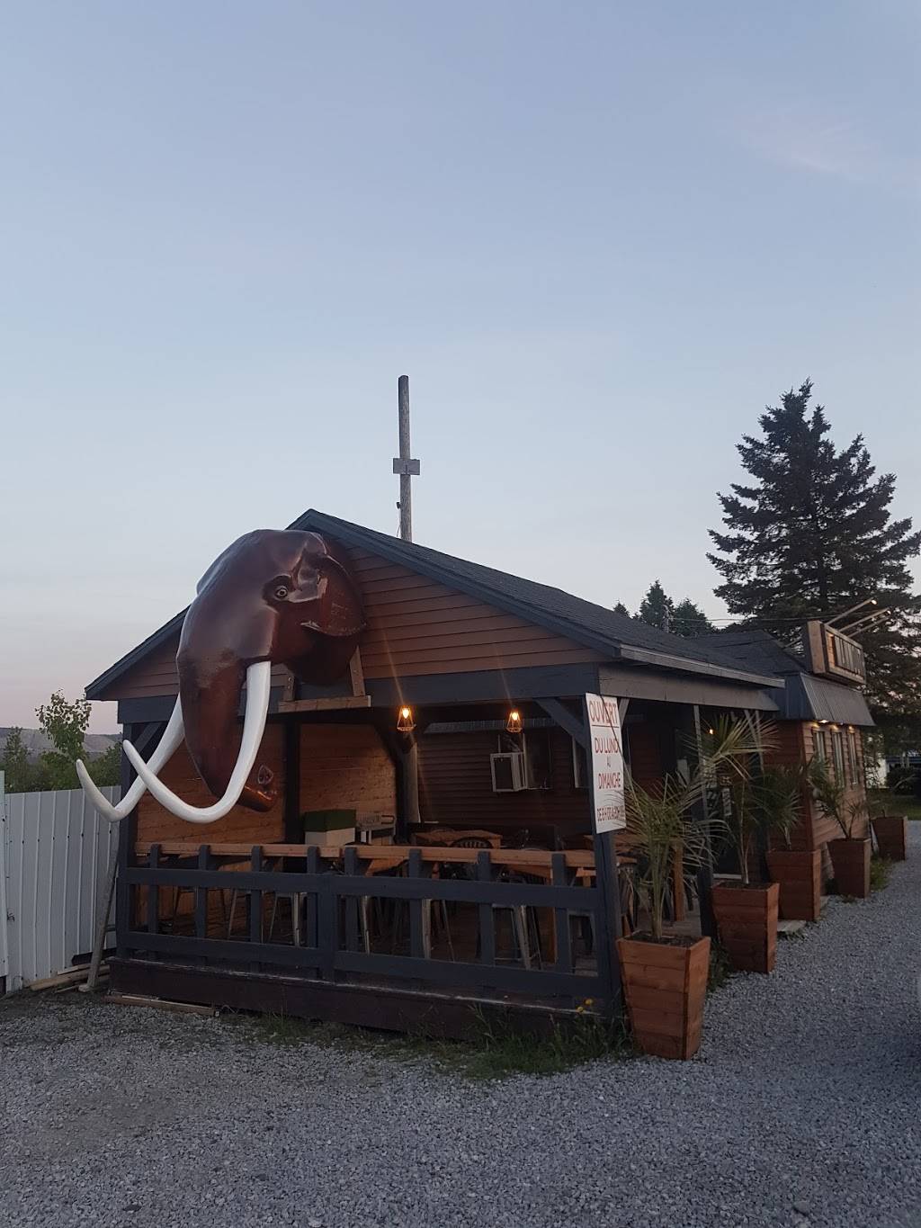 Cantine Des Dee | restaurant | 946 Boulevard Frontenac O, Thetford Mines, QC G6G 6K3, Canada | 4183388669 OR +1 418-338-8669