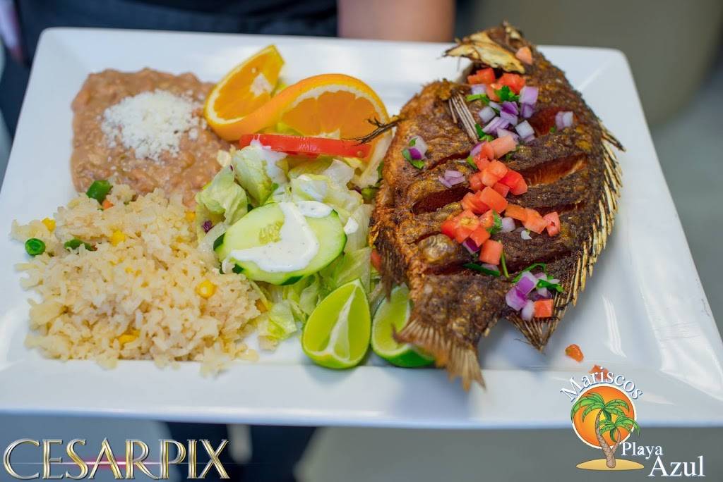 Mariscos Playa Azul | restaurant | 1071 N Harbor Blvd, Anaheim, CA 92801, USA | 7145353977 OR +1 714-535-3977