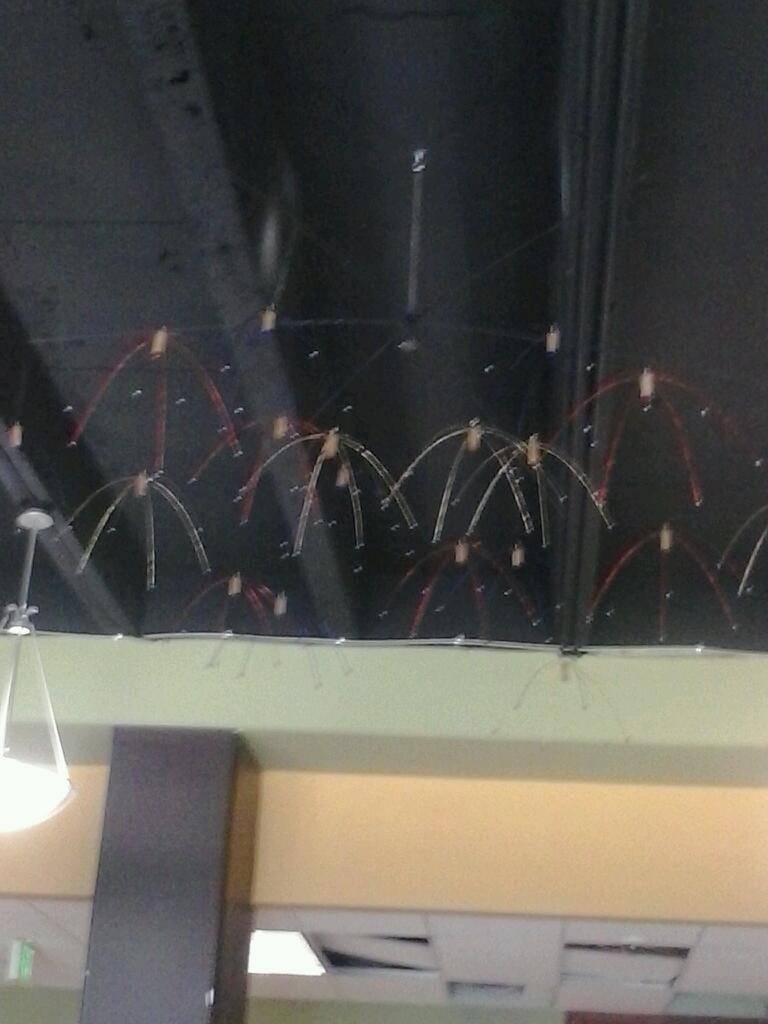 El Rinconcito Chapin | restaurant | 50 E Columbia Ave, Palisades Park, NJ 07650, USA | 2018409997 OR +1 201-840-9997