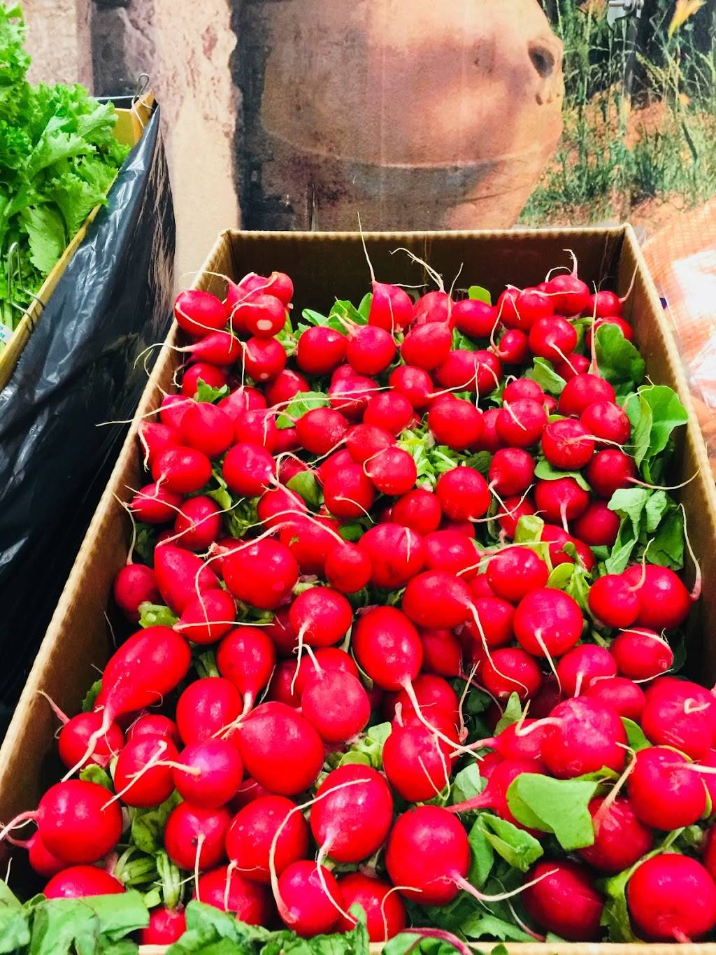 El Soto Deli & Grocery | meal takeaway | 1500 Tasker St, Philadelphia, PA 19145, USA | 2155153463 OR +1 215-515-3463