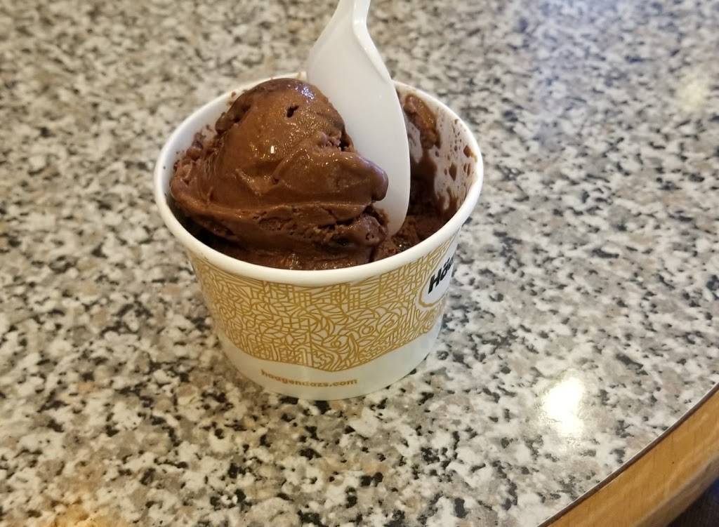 Häagen-Dazs | restaurant | 85 Middle Neck Rd, Great Neck, NY 11021, USA | 5164876400 OR +1 516-487-6400