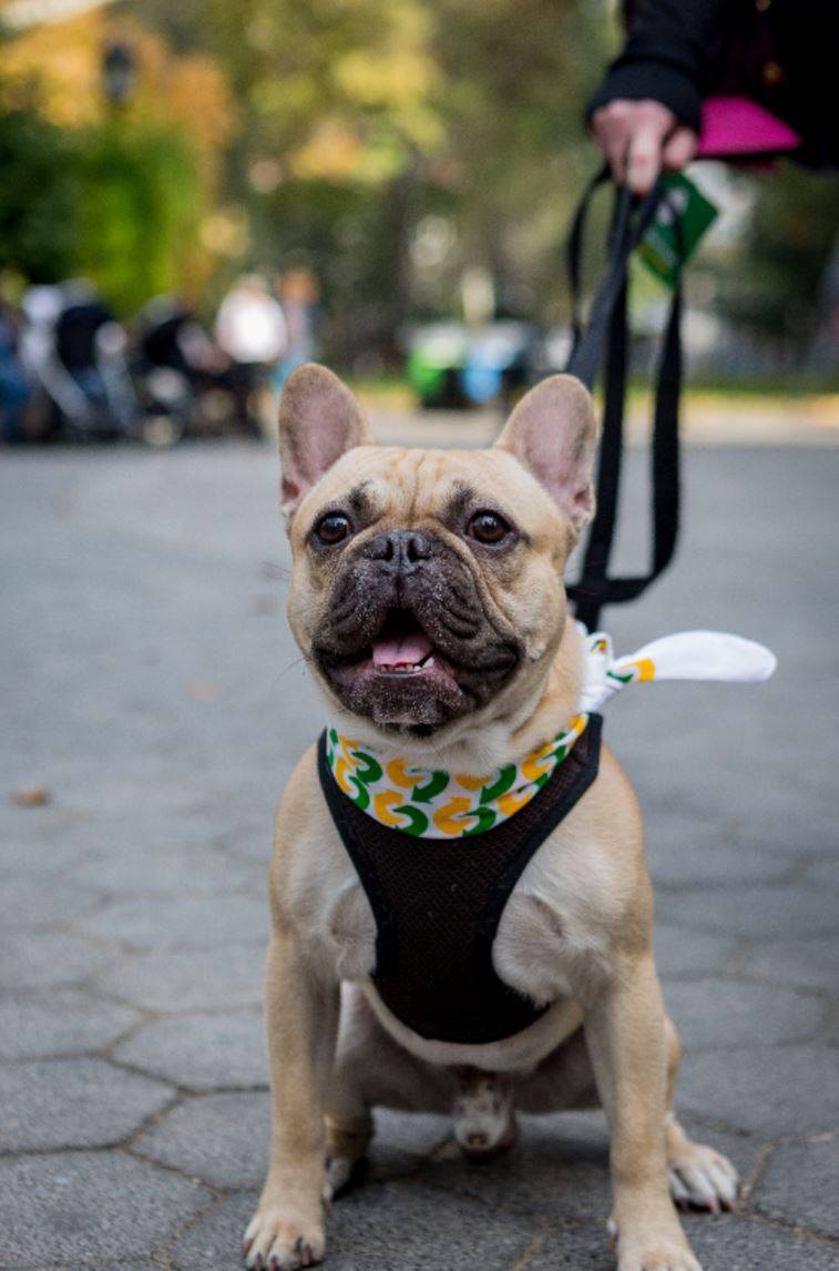 Subway Restaurants | restaurant | 26781 Portola Parkway Suite 4-C, Foothill Marketplace, Foothill Ranch, CA 92610, USA | 9493290344 OR +1 949-329-0344