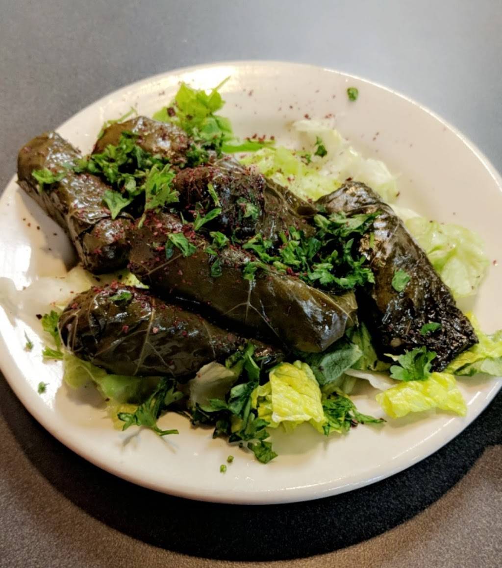 Zamaan Cafe | restaurant | 3580 Plymouth Rd, Ann Arbor, MI 48105, USA | 7342133350 OR +1 734-213-3350