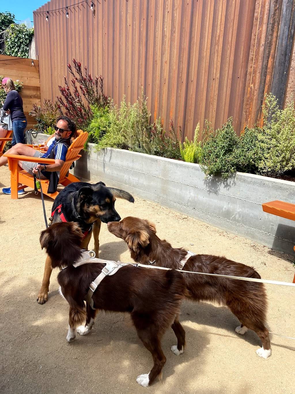 The Junction Beer Garden | restaurant | 226 CA-1, Mill Valley, CA 94941, USA | 4158883544 OR +1 415-888-3544