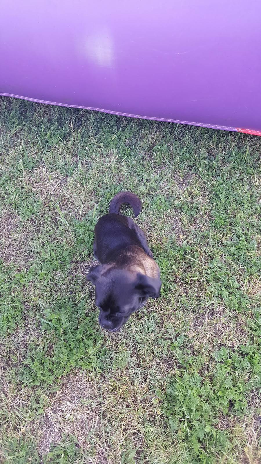 Parkhill Park Concession Stand | restaurant | 5100 S Robinson Rd, Grand Prairie, TX 75052, USA | 9722377529 OR +1 972-237-7529